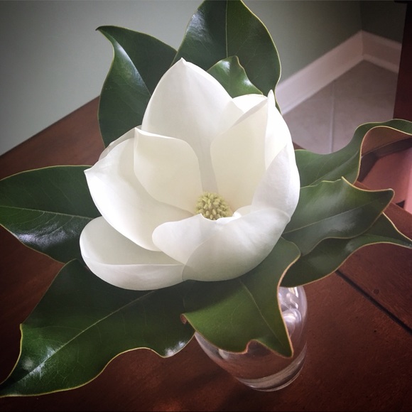 Meet your Posher, Amy - Picture 1 of 1